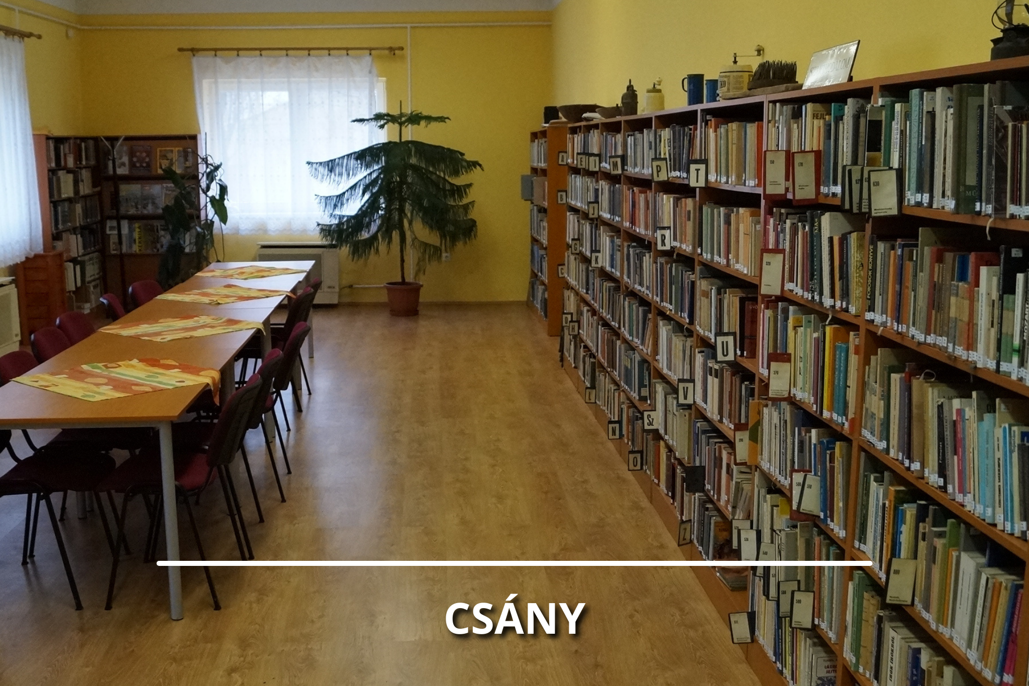 Csány