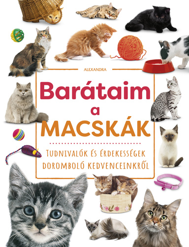 Barátaim, a macskák : tudnivalók és érdekességek doromboló kedvenceinkről